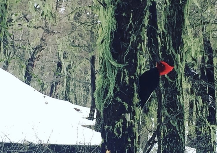 Departamento con vistas al andarivel